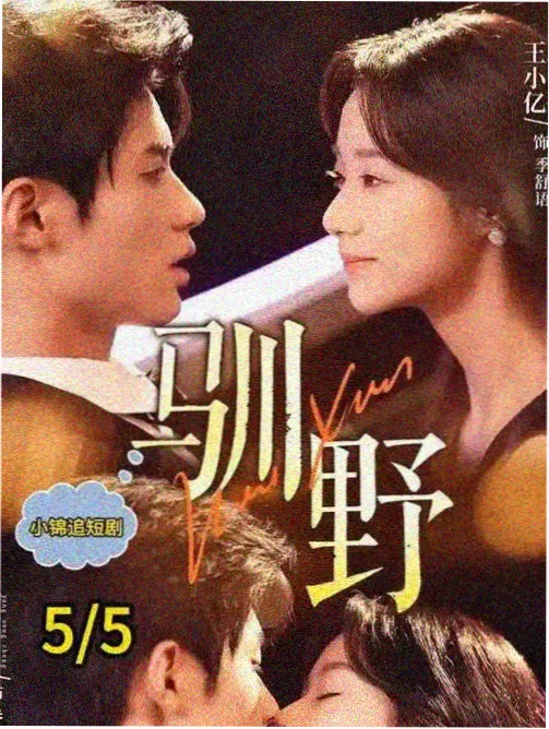 四色分区墨黑分区暗色悬疑剧场索引卡封面